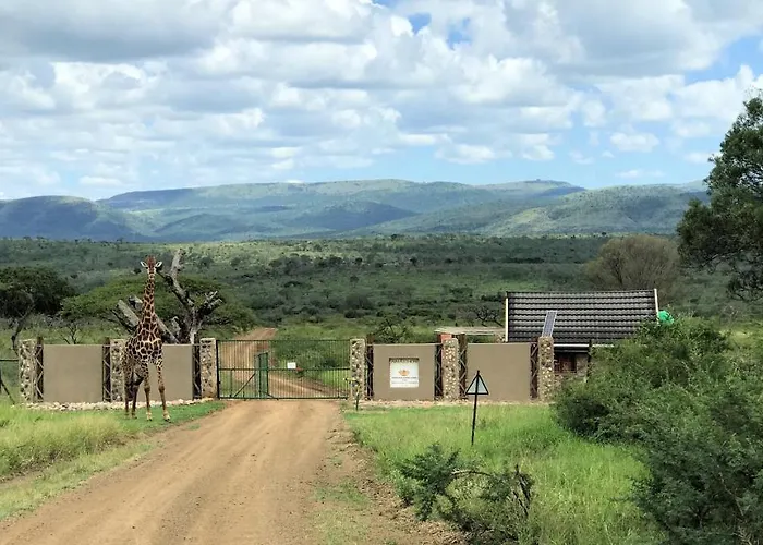 Amakhosi Safari Lodge & Spa