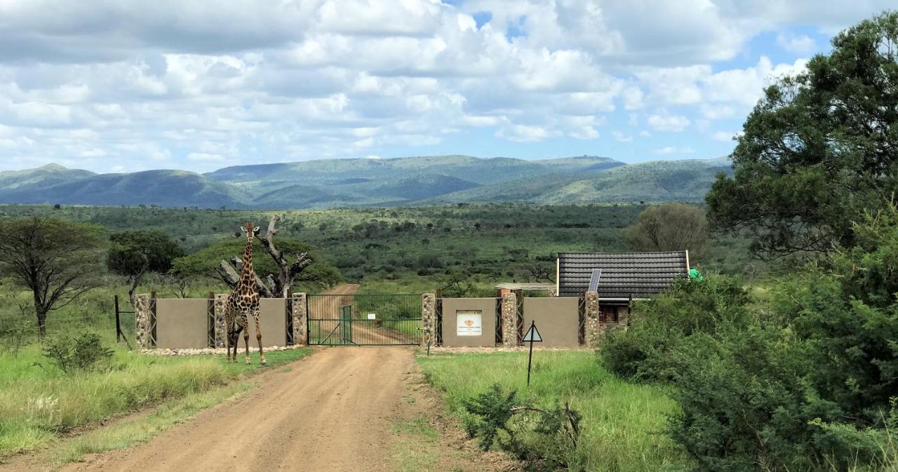 Amakhosi Safari & Lodge