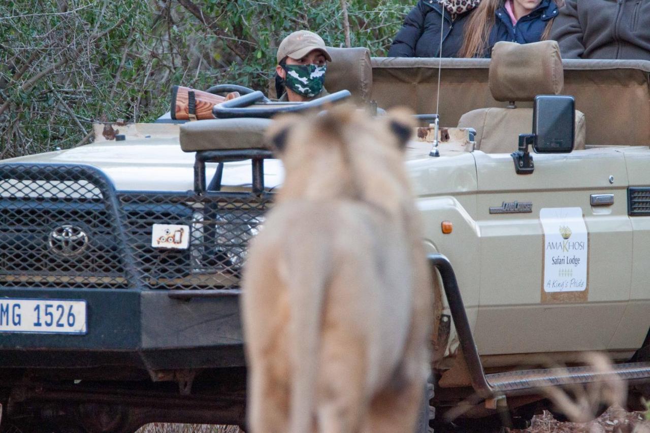 Lodge Amakhosi Safari & *