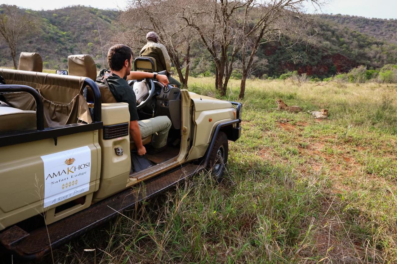 Amakhosi Safari & Lodge *