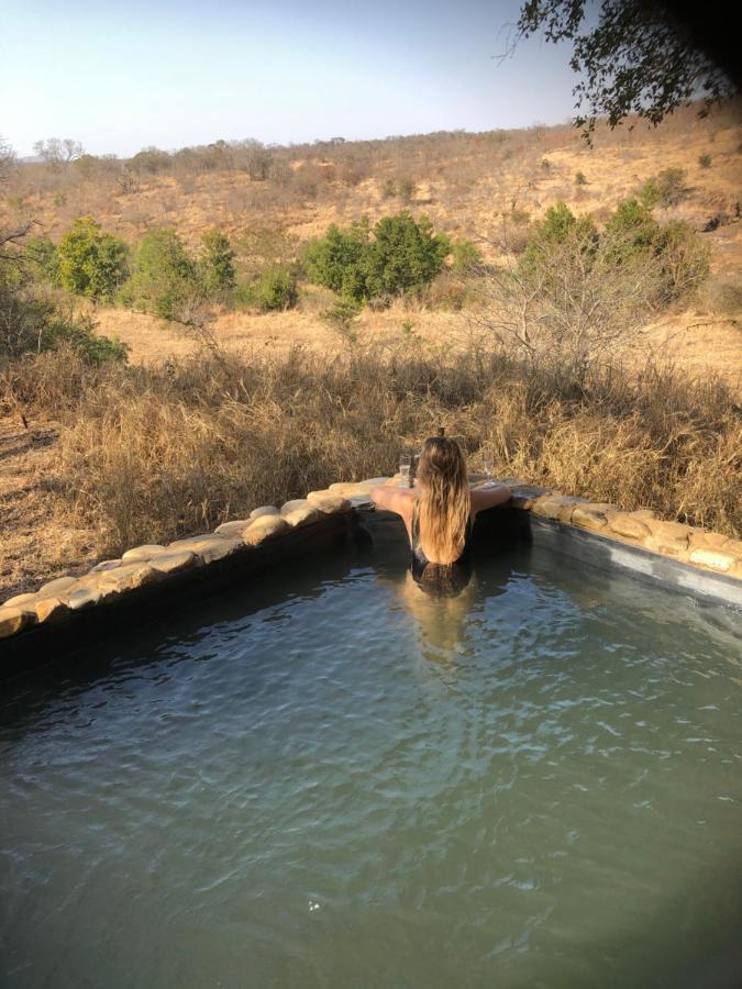 Amakhosi Safari & Lodge *