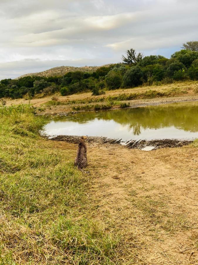 Amakhosi Safari & *