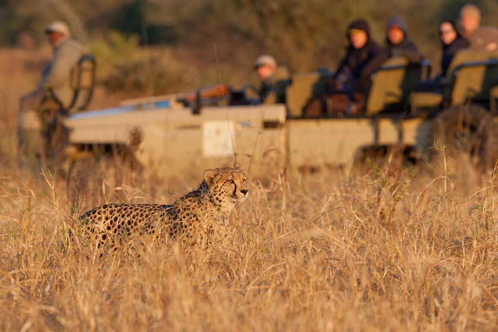 Lodge Amakhosi Safari &