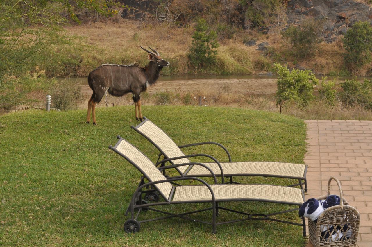 Amakhosi Safari &